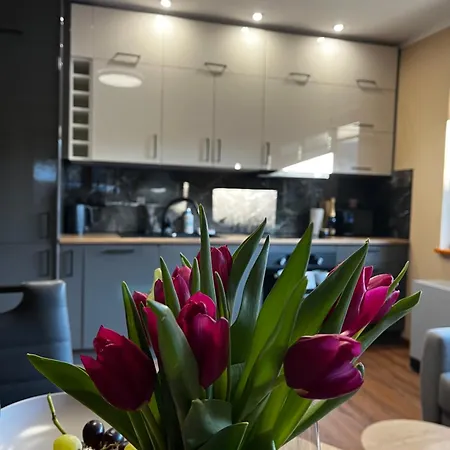 Krolowka 3 Appartement Zakopane