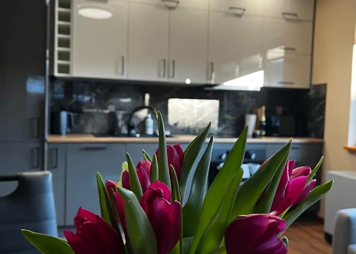 Krolowka 3 Appartement Zakopane